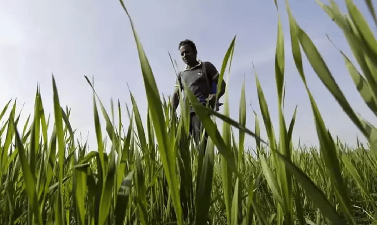 ranipet agricultural news 3