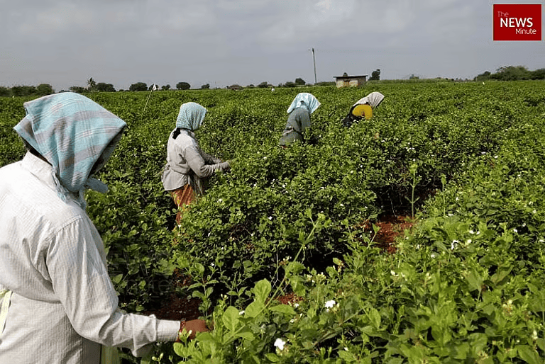 ranipet agricultural news 6