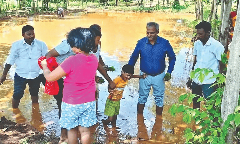 ranipet agricultural news 8
