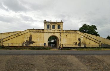 gallery image ranipet26